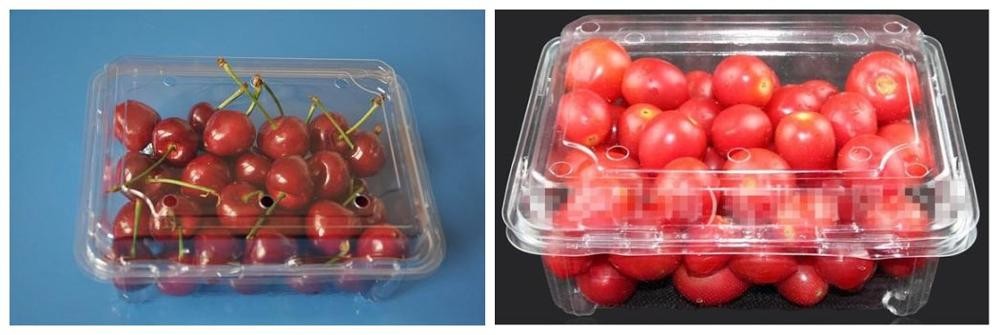 Машина упаковки пластиковой коробки SS304