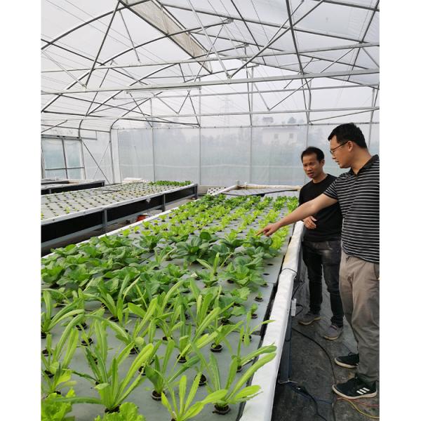 Strong Frame Greenhouse with Hot Dipped Galvanized Steel Structure and Film Cover