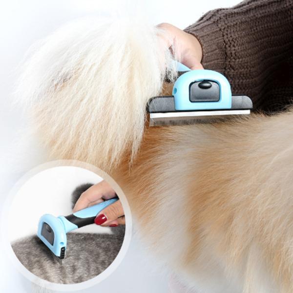 Comfort Pet Hair Brush Various Size Available For Remove Pet Floating Hair