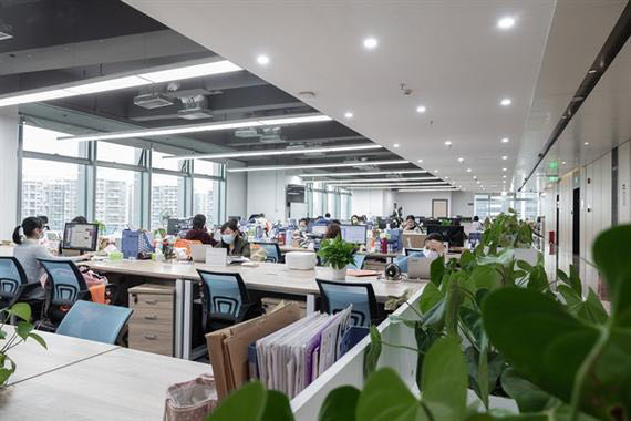 DAF Truck Parts Clutch Disc Oem 1385522 1689108 1878054933 for DAF Europe Heavy Duty