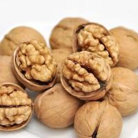 Noix cultivée en demi-mâts et en morceaux Noix cultivée naturellement sans gluten Aucun conservateur Non OGM Noix en coquille de papier 185