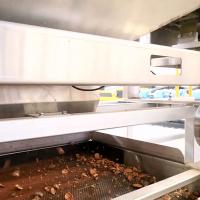 le biscuit 380V sec a équipé la noix de pécan écossant la machine de la capacité de traitement de 24000 écrous