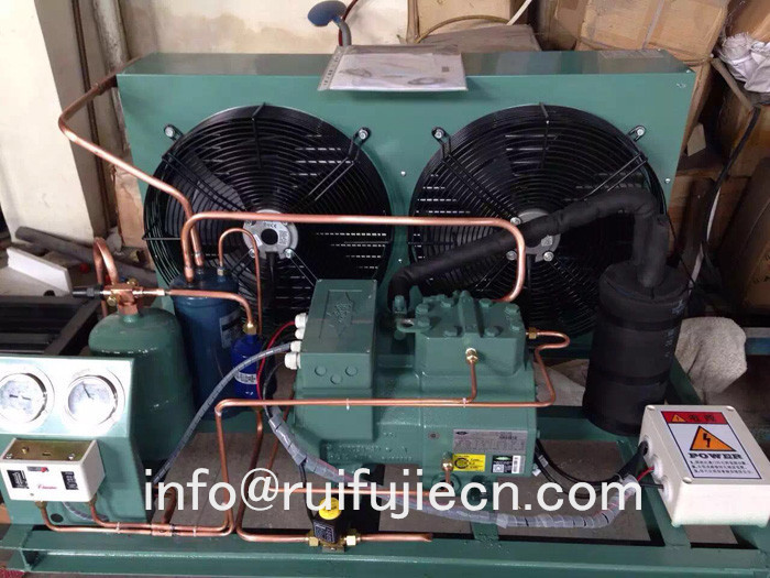 Unit-SPB06KL Air Cooled Condenser Compressor Condensing for Model 4CES-6Y-40S 4CC-6.2Y-40S