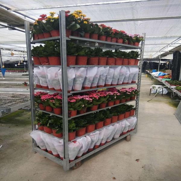 Hot Dip Galvanized Plywood Material Flower Trolley Heavy Wheel Easy To Install