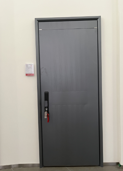 Heat Transfer Surface Modern Steel Door Invisible Hinge Metal Frame
