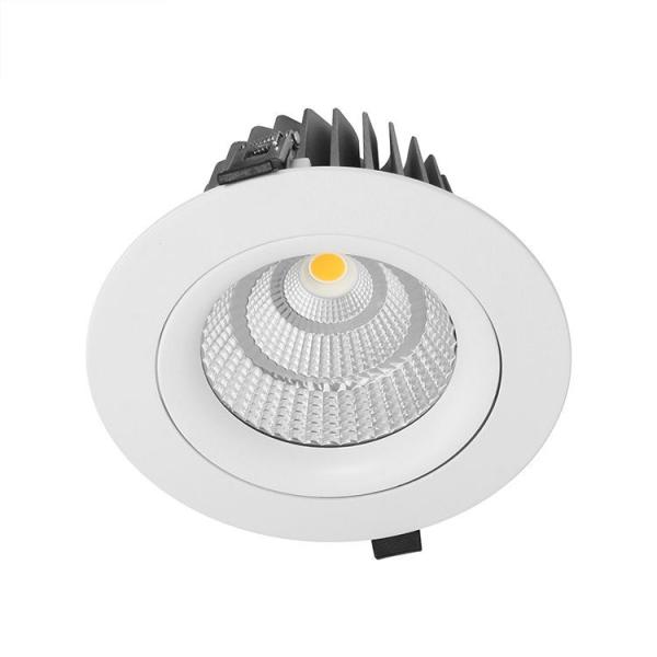 Tricolor LED Downlight With 0-100% Brightness Adjustment 3 CCT Adjustable Wifi Control