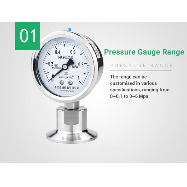 CE Certified 2.5% Precision Customized Clamp Diaphragm Pressure Gauge for Manufacture