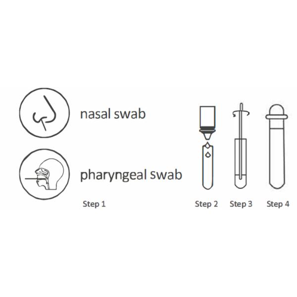 Hot selling factory price for the COVID-19 Antigen Test Kit Nasal Swab Colloidal Gold