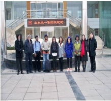 Специализированный вентилятор для крыши из нержавеющей стали для высокотемпературной вентиляции