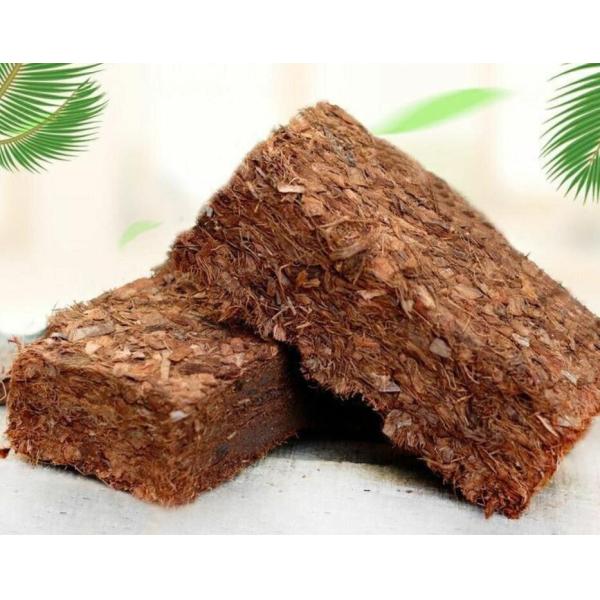 Indonésia Mercado Coco Turfa Máquina de Fabricação de tijolos Cold PRESS 650g 5kg para o Cliente