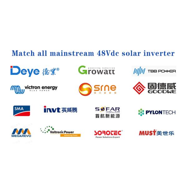 Домой 48 Вт Липо аккумулятор 50ah Литий-ионный аккумулятор для хранилища солнечной энергии UPS