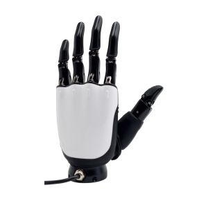 Dexterous Hand