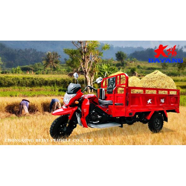 DAYANG 2021 Model Motorized Tricycle 250 CC Gasoline Cargo Tricycle RUITENG Red 28 A