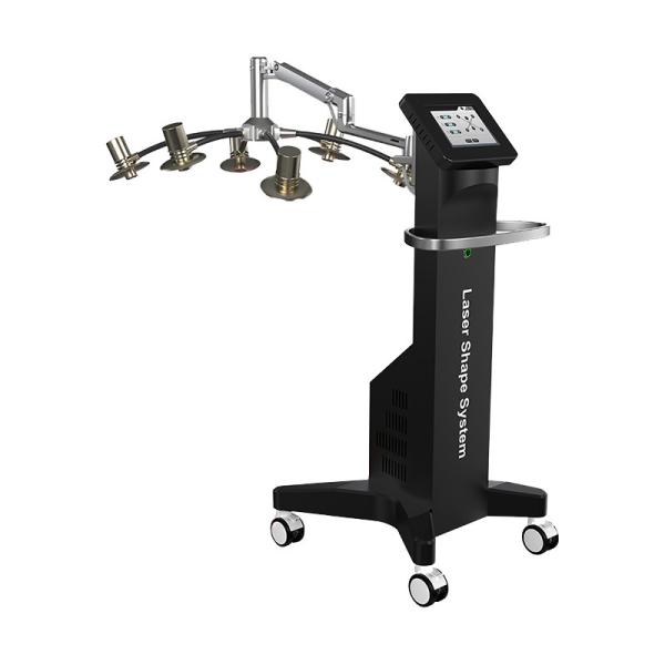 Equipamento de beleza corporal 6D de alta qualidade