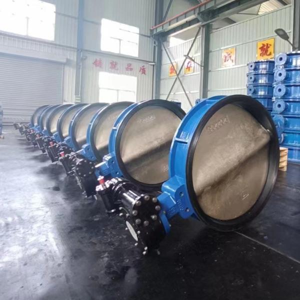 Handle Butterfly Valve Ductile Iron Manual Wafer Type Soft Seal Butterfly Valve DN50 100 150 200