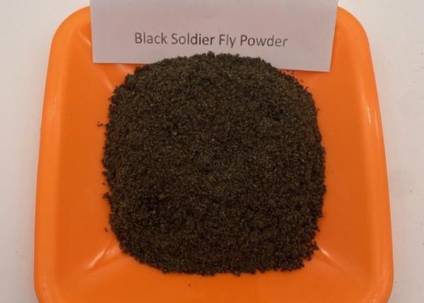 Carton Packaging Dried Black Soldier Fly Origin Ingredients Black Soldier Fly Larvae