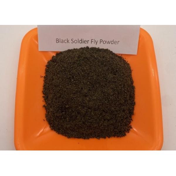 Low Fat Dried Black Soldier Fly - 3-5cm with High Nutritional Value