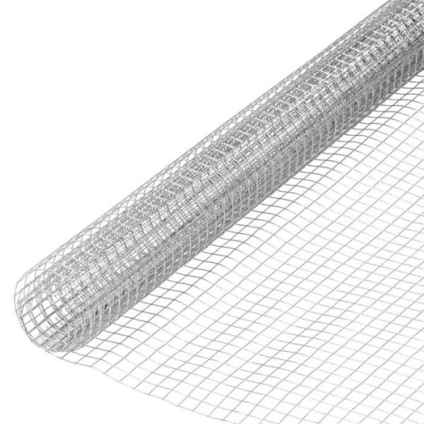 Electro Galvanized Welded Wire Mesh Roll with 25x25mm Hole and 1.4mm Wire Diameter for Poultry Breeding