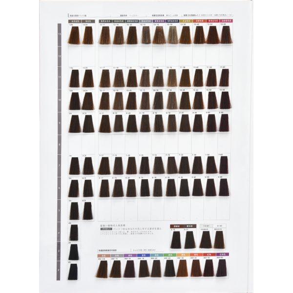 Natural Herbal Hair Color Cream Professional Salon Hair Dye Low Ammonia Protein Care Philippine