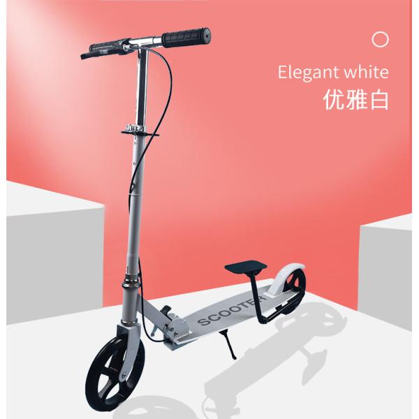 2022 Foldable Rubber Wheels Adult Stunt Scooter Portable Kick Scooter Two Wheel Style