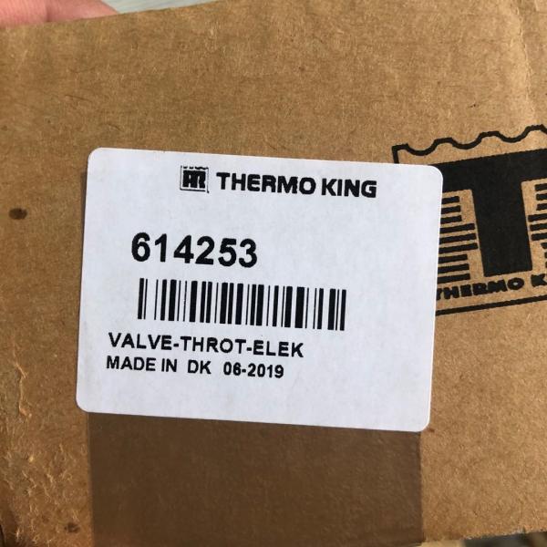 614253 Thermo King Refrigeration Parts Expansion Valve 1E37884G03 034g2054