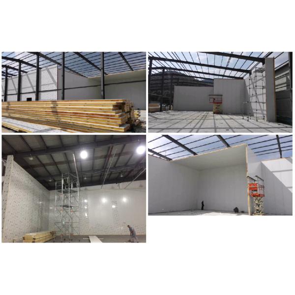 Paseo comercial en el congelador de la cámara fría para la fruta con la PU con referencia - al panel de acero pintado