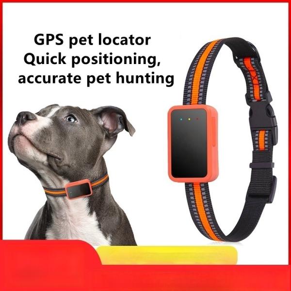 Rastreador GPS para perros y gatos en tiempo real, collar con cobertura global, resistente al agua, apto para mascotas