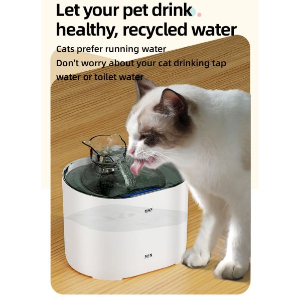 Large Capacity Automatic PP Material Pet Water Dispenser Cat and Dog Pet Products Drink Fountain Cat Dog Bowl & Feeder