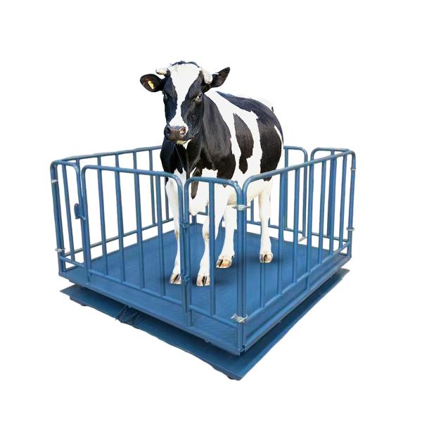 Balances de pesage pour bétail de 1 tonne avec affichage numérique LED et cage, performances stables, balance industrielle robuste pour sol