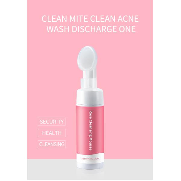 Мытье стороны перевозчика угорь Cleanser Skincare 120ml OEM пенясь лицевое