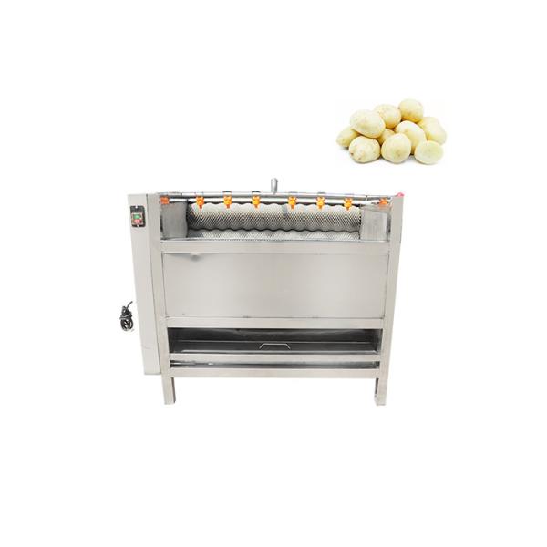 Fruit Carrot Peeler Potato 1000kg/h Vegetable Washing Machine