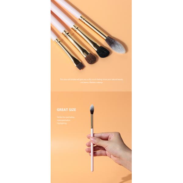 ODM Handcrafted набор щетки теней для век смешивая с алюминиевым Ferrule