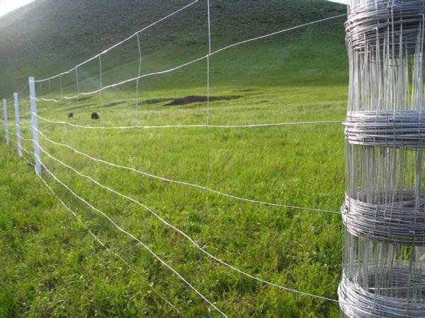 high quality horse/cattle panel fence/Galvanized Horse Sheep Iron Fencing