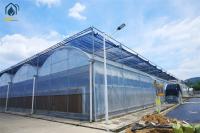 Modern Multi Span Agricultural Greenhouse PE Film Commercial Greenhouse Construction