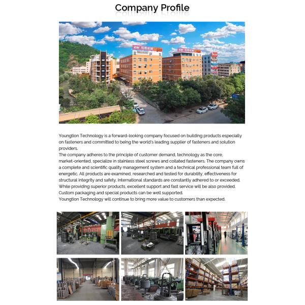 Винт собственной личности головы винта 50mm винта Torx деревянный Torx зенкованный выстукивая