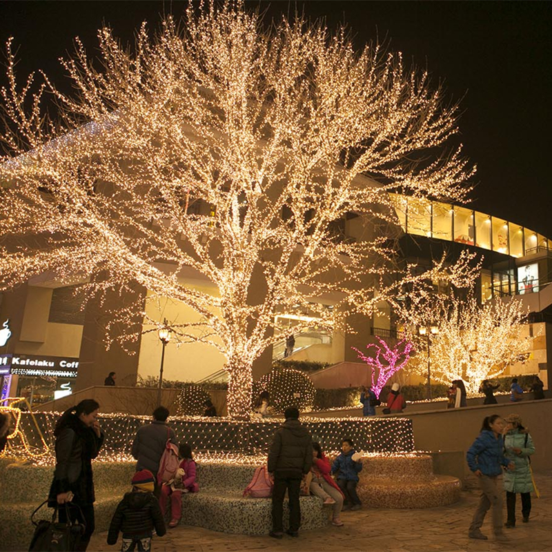 Света строки феи СИД Xmas свадебного банкета рождества на открытом воздухе