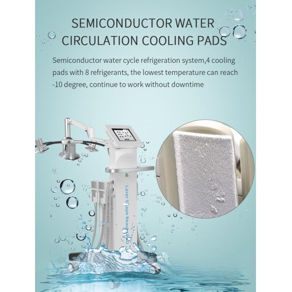 Fat Removal Non Invasive 8D Laser Therapy Machine Dual Wavelength 532nm 635nm Red And Green Light