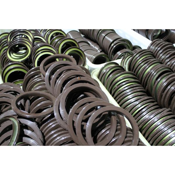 Dongfeng Tianlong Truck Oil Seal 145*175*14mm Balance Shaft