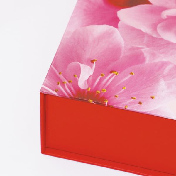 Customized luxury cardboard smooth surface with logo carton  book shaped boxes