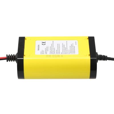 Chargeur portatif universel de batterie de voiture d'EV 12V2A