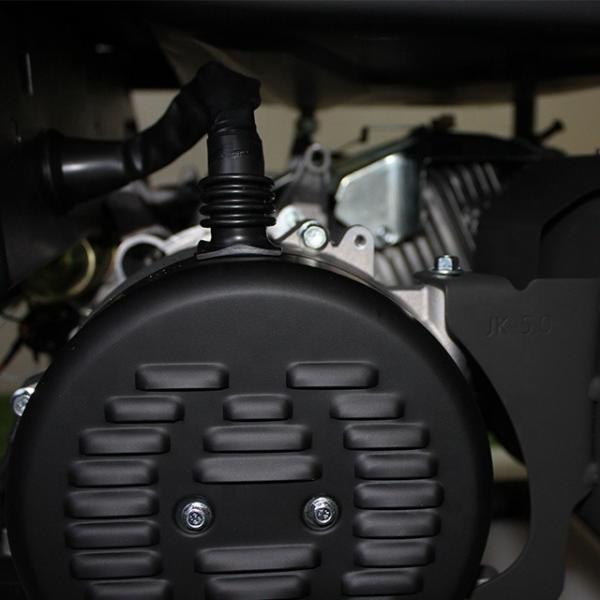 Single Cylinder 4-Stroke Air Cooled 6.5HP Generador Trade / Small 3 Phase 3000W Gasoline Dual Fuel LPG Power 3 kW Gas Generator