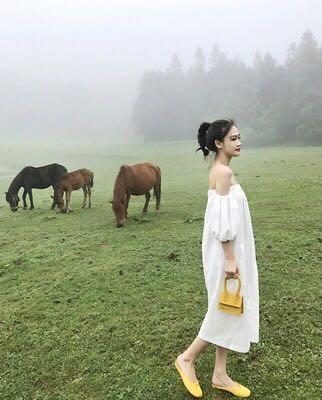 Cotton Linen Fabric Womens Vacation Dresses , Off Shoulder Tube Dress