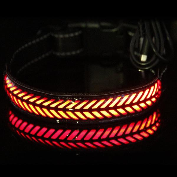 Safe LED Dog Collar USB Rechargeable , Waterproof Glow In The Dark Dog Collar