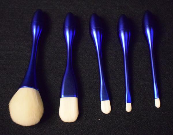 Beauty Cosmetic Full Makeup Brush Set Including 5 Pieces With Private Label