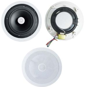 5 Inch Coaxial Speaker 20W Economic Ceiling Speaker Flush Mount