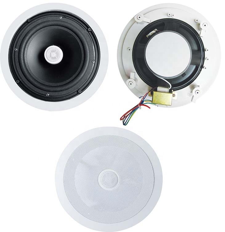 5 Inch Coaxial Speaker 20W Economic Ceiling Speaker Flush Mount