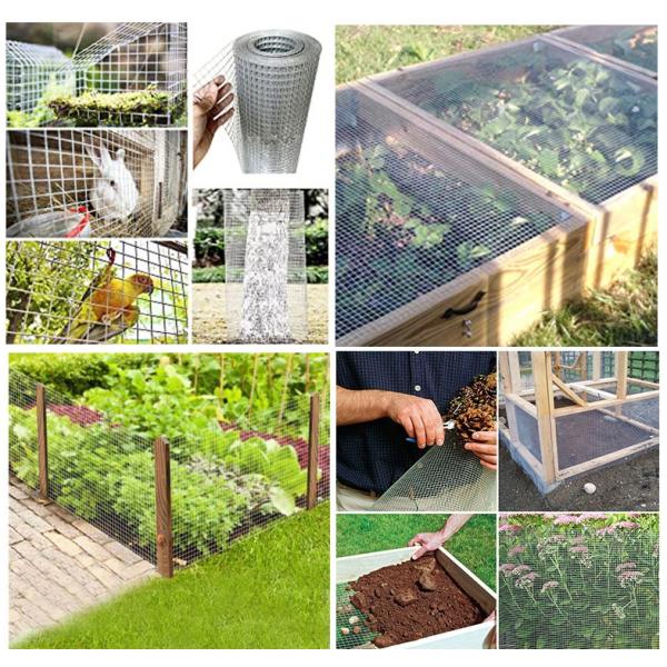 Galvanized Welded Wire Mesh The Perfect Choice for Durable Garden Fencing Solutions