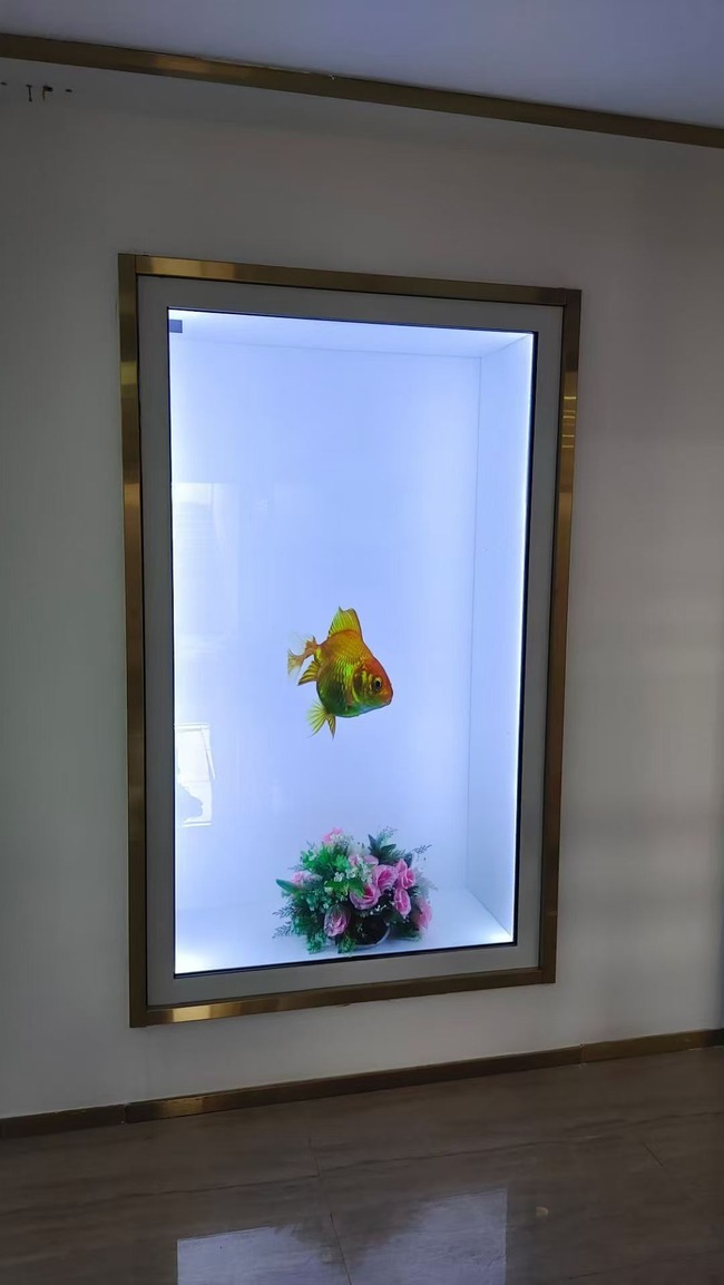 65 Inch Transparent Exhibition Display Cabinet for Immersive Exhibit Presentation and Viewing