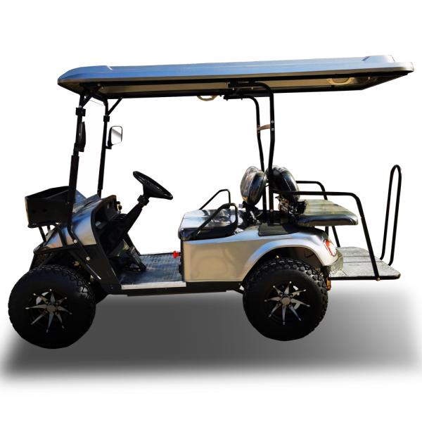 ОЭМ вся тележка гольфа электрического автомобиля ЭВ местности с задними фонарями фар СИД