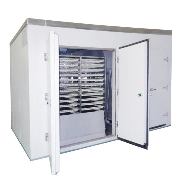ISO9001 Industrial Fruit Oven Dryer Machine Hot Air Electric Auxiliary Heat 6m 8m